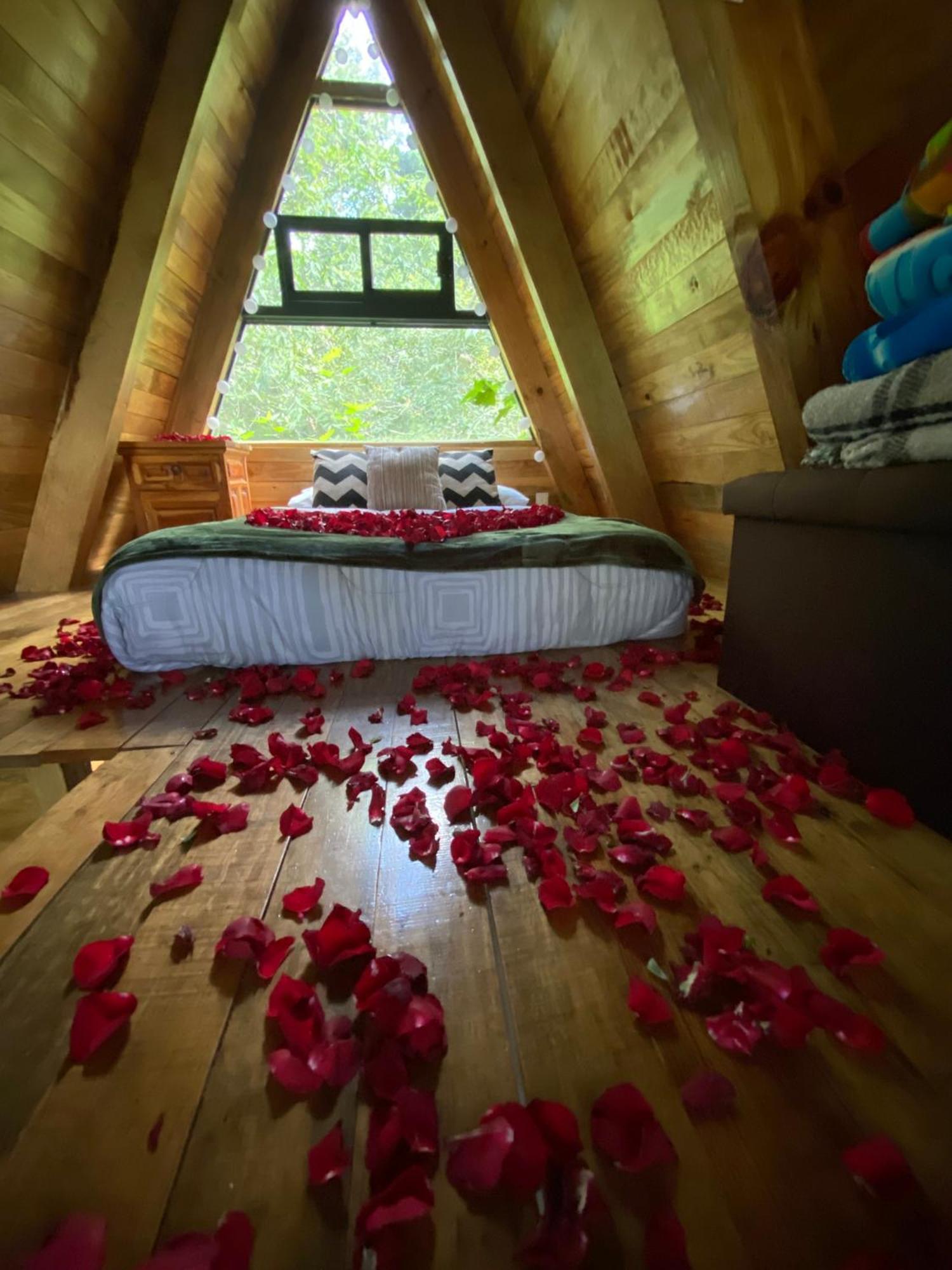 Cabanas Alpina, Romantica Y Acogedora A 10 Minutos Del Centro تيبوزتلان المظهر الخارجي الصورة